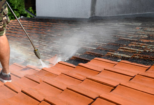 Best Exterior Home Cleaning  in Pce, LA